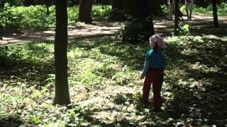MOV00545.AVI