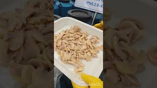 полуфабрикаты для консервного производства, шампиньоны