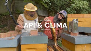 CIBO & PERSONE Ep. #07 - Riccardo - Pillola 1 "API E CLIMA"