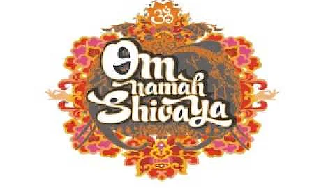 Om Namah Shivaya-Sri Sri Ravi Shankar-Sacred Chants of Shiva.(30 min.Version).wmv