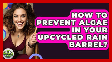 How To Prevent Algae In Your Upcycled Rain Barrel? - The Upcycle Lab