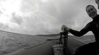 Rib Diving