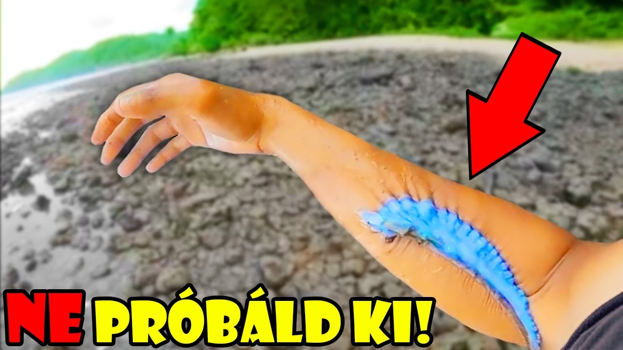 KI AKARTA DERÍTENI, MIRE BUKKANT AZ ÓCEÁNBAN! Nem volt jó ötlet... | Reddit válogatás