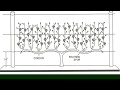 The 4-Arm KniffinTraining System for Grapevines - Grape Video #15