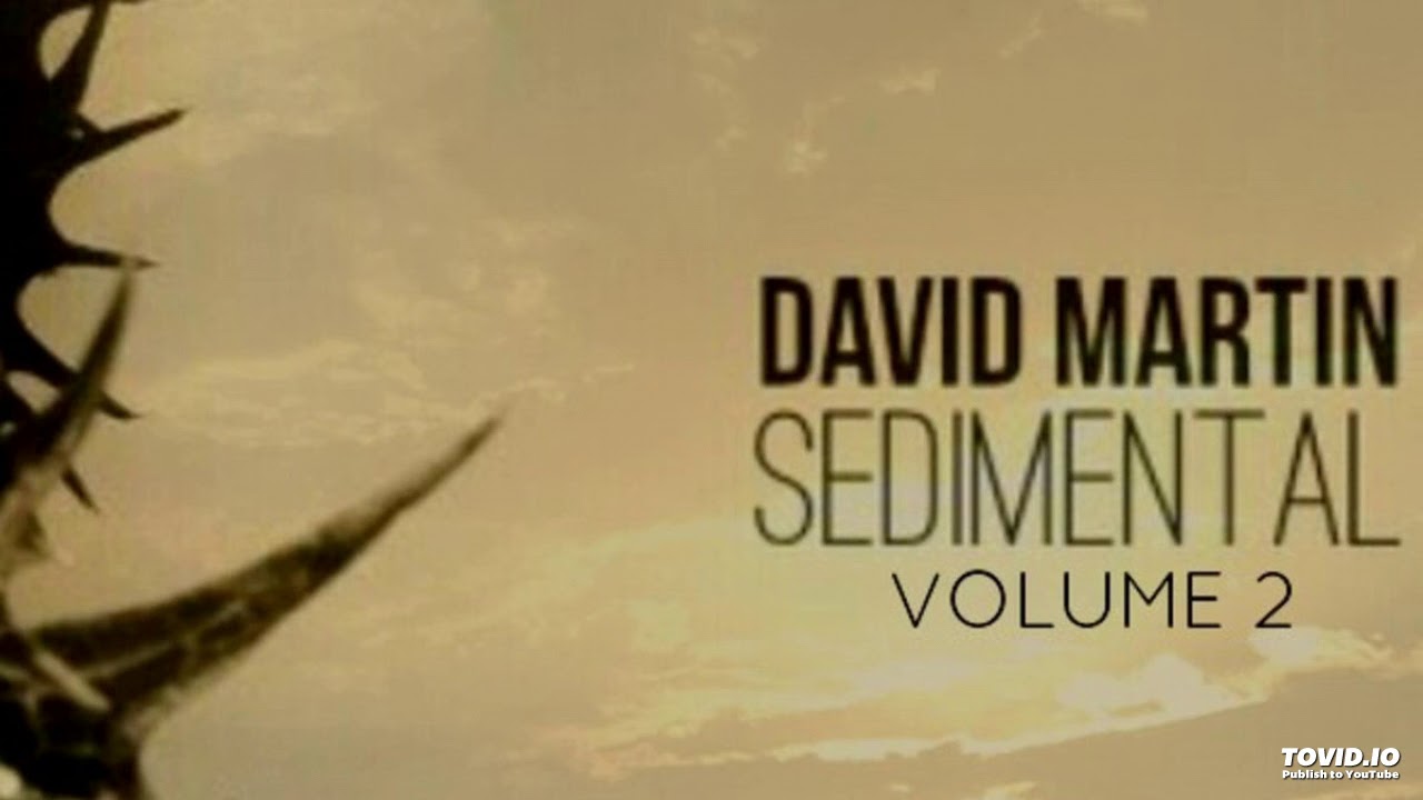 Gypsy For A Clown - David Martin