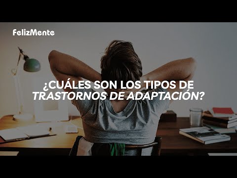 ¿Cuáles son los