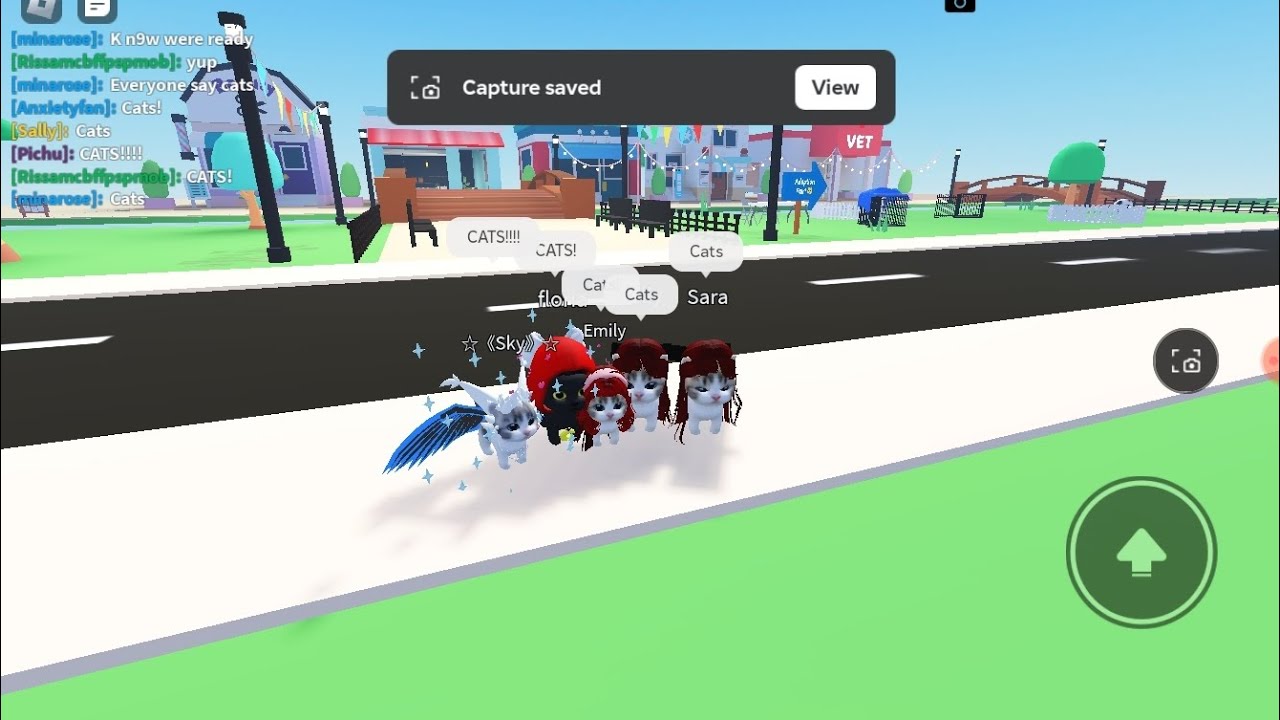 Mysterious Murder**pet party roblox and rp**(part 2)