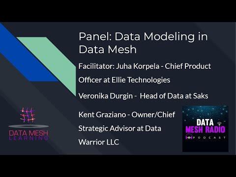 Panel: Data Modeling