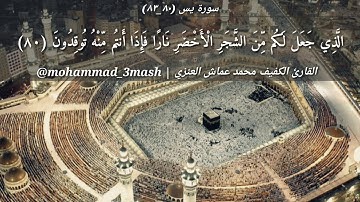 محمد عماش العنزي سورة يس (٨٠_٨٣)