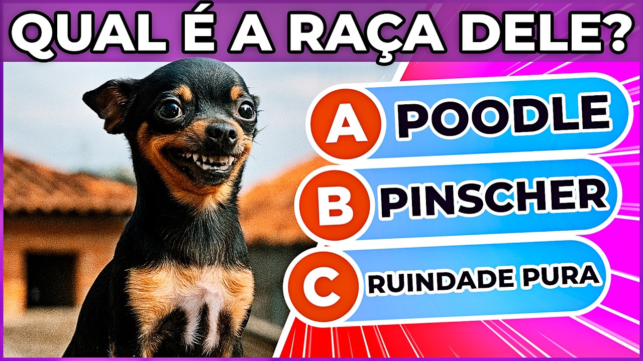 🐶 QUAL É A RAÇA DO CACHORRO? | 🐕 Você conhece bem os doguinhos?🐩 #quiz #macaquiz
