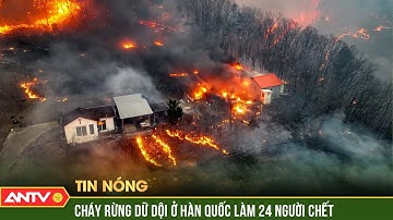 Hàn Quốc chiến đấu với "giặc lửa" kinh hoàng, 24 người thiệt mạng | ANTV