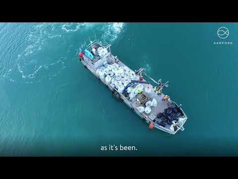 Outline Video Sanford Supports the Mussel Bed Restoration Project