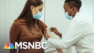 Pfizer Launches Vaccine Study For Children As Young As Six Months | Andrea Mitchell | MSNBC