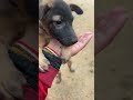 Poor baby cute