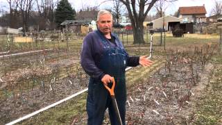 Digging, Planting, and Transplanting Explained