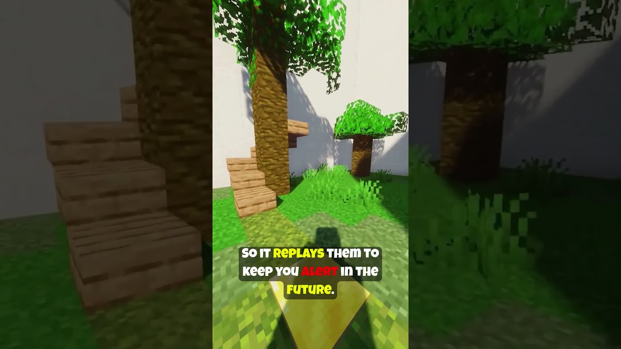 Your Brain Doesn't Remember Memories Equally.