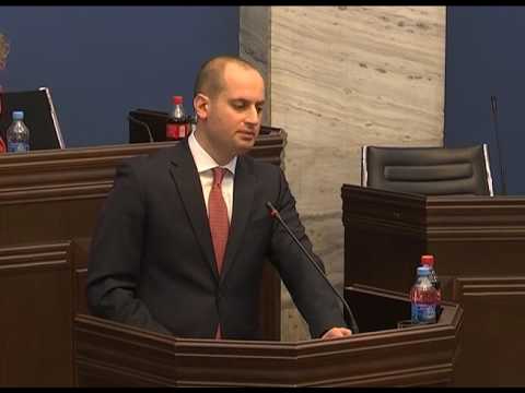 მიხეილ ჯანელიძის მოხსენება პარლამენტის გაერთიანებულ კომიტეტებზე - 03