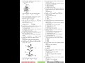 Grade 4 Science and Technology End of Term 1 2026 Exam with Marking Scheme