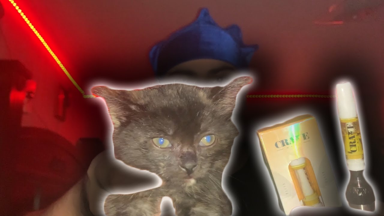 Crave Meds Cartridge - Mango Twist Review (AMAZING FLAVOR)