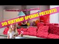 5th BIRTHDAY OPENING PRESENTS SPECIAL! - DAUGHTER OPENING HER BIRTHDAY PRESENTS!