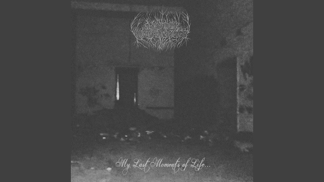 My Last Moments of Life...