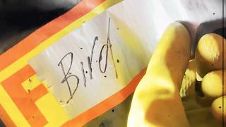 F.bird | A cinematic dance film by Jules Cunningham, Julie Verhoeven, JD Samson