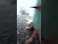 vid with @dark-c7n4w #hi #funny #cool #video #lifeisbutadream #haveitoldyoulatelythatiloveyou