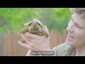 OZTENT | Wildlife Warriors Backyard Campout - Robert's Reptiles