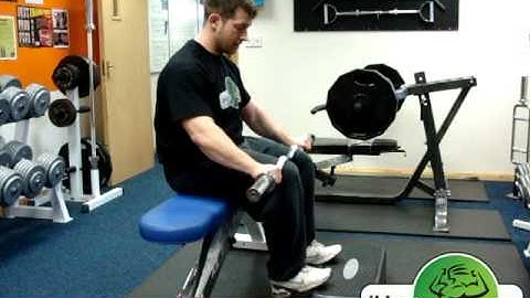 Seated Calf Raise HQ by iHarts.com
