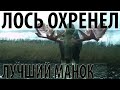 Лось охренел. Идеальный манок на лося.The perfect decoy for elk