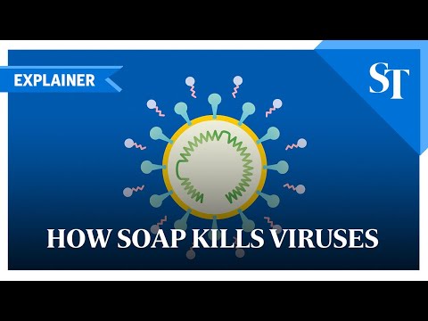 Video: Televisa Annuleert De Presentatie Van Haar Soap Vanwege Het Coronavirus
