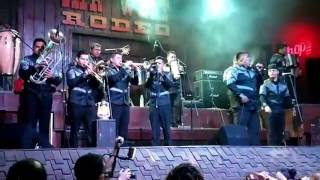 reyes vallenatos danza negra en vivo