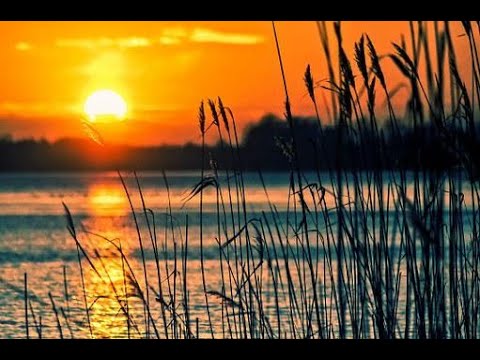 Video Những câu nói hay( Lắng nghe lời thì thầm: