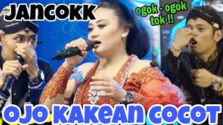 Probo rini wes nesu parah. Percil ndak berkutik 