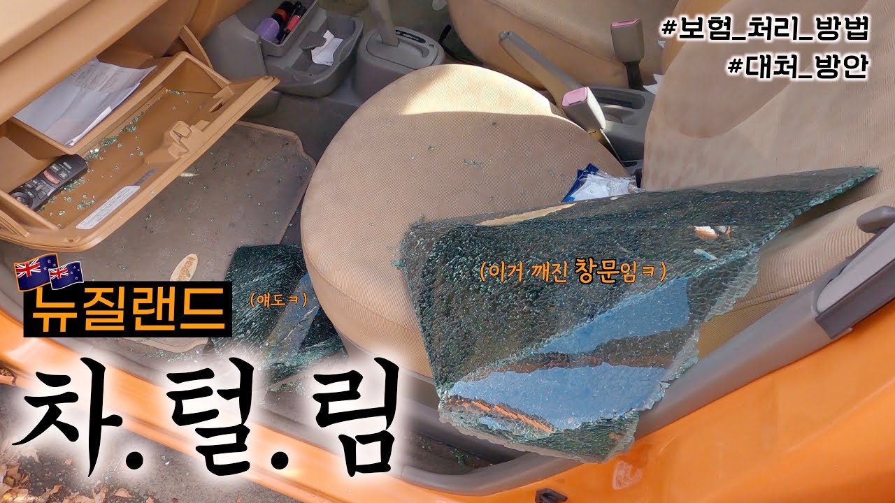 🇳🇿 평화로워 보이는 뉴질랜드의 민낯.. (근데 어떤 새끼냐..?^^)
