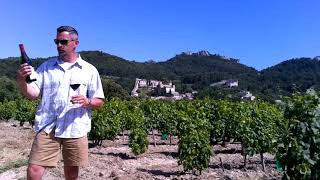 Gigondas Red Wine Blends Southern Rhone, France - Know Wine In No Time