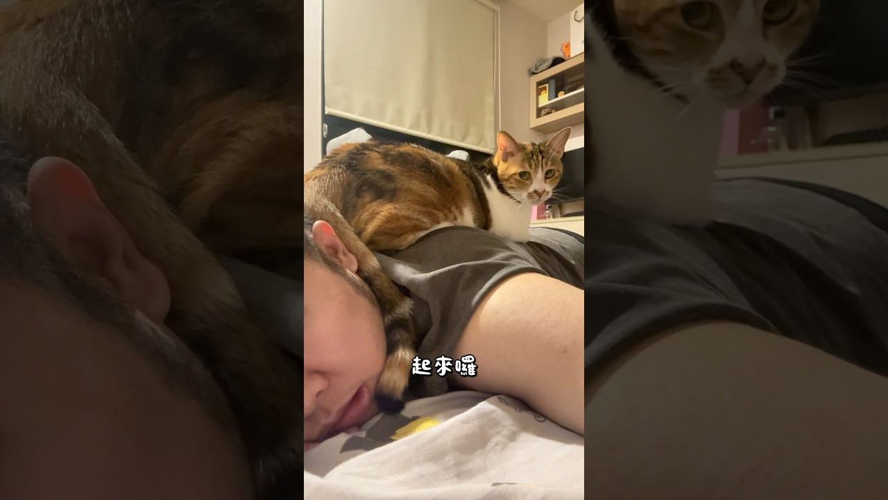 被小花壓制,該怎麼請她離開呢? 縮圖