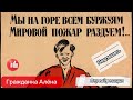 Джонни идентифицирован!