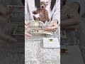 3月2週目お財布リセット👛#お金の管理 #貯金 #おすすめ