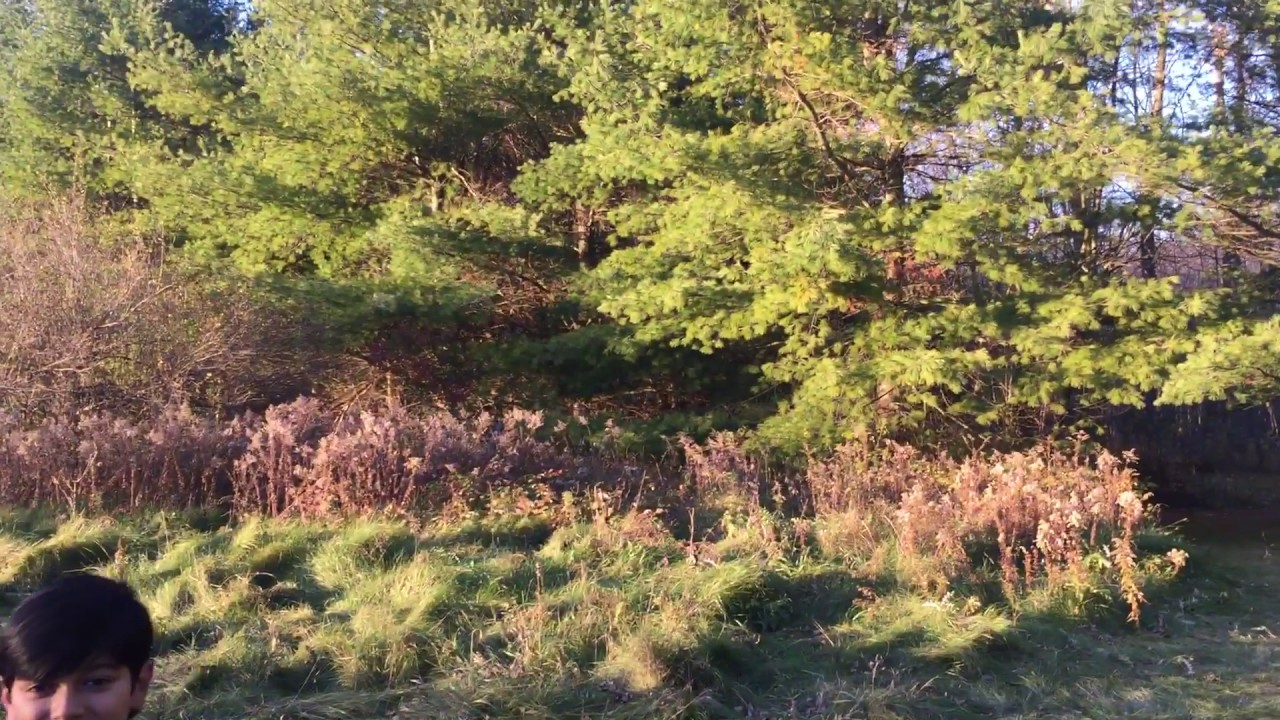 Mountsberg Conservation Area, Part 1 , Halton , Ontario , Canada