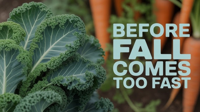 Today, I’m sharing my top 5 vegetables you can plant in fall and forget about all winter. These crops aren’t just easy—they’re practically bulletproof in Canadian gardens.