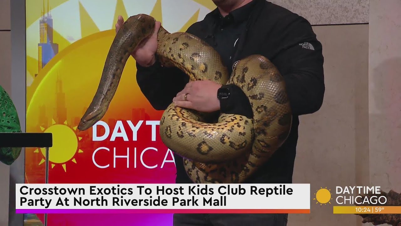 Crosstown Exotics To Host Kids Club Reptile Party At North Riverside Park Mall