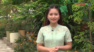 Truyền hình Nam Định Giới thiệu về Công ty Dược Phẩm PQA - Chữa bệnh chữa tận gốc