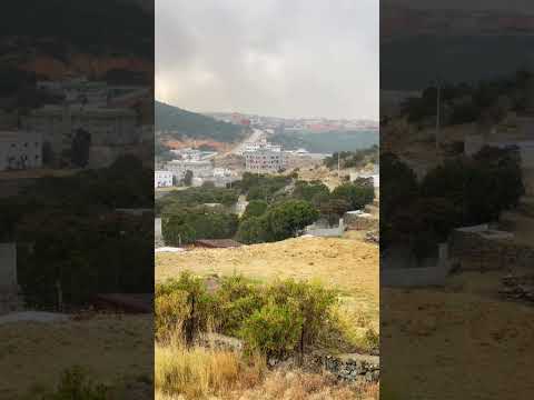 وقلبي ما بعد مات لعب شهري