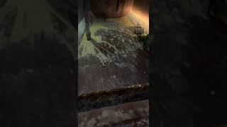 Cleaning a Cargo Hold After Grain Unloading