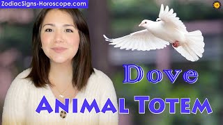 Dove Animal Totem - Dove Spirit Animal Meaning, Symbolism, Dream of the Dove Totem