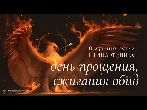 17 ИЮНЯ | 8 ЛУННЫЙ ДЕНЬ | СИМВОЛ ПТИЦА ФЕНИКС | 2021