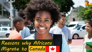 Top 7 Reasons why Africans Run To Canada
