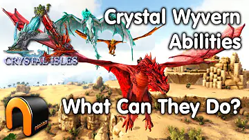Can a Wyvern pick up a player?