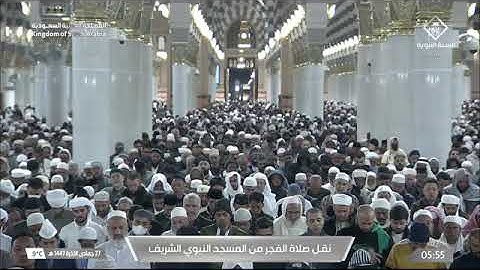 صلاة الفجر للشيخ د. #عبدالباري_الثبيتي الخميس 27 جمادى الآخرة 1447هـ خواتيم سورة النمل 76-93